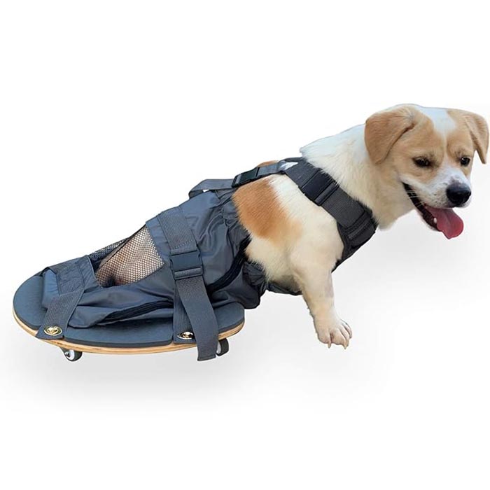 PET LIMB PARALYSIS SCOOTER - Основен инструмент за собствениците на домашни любимци